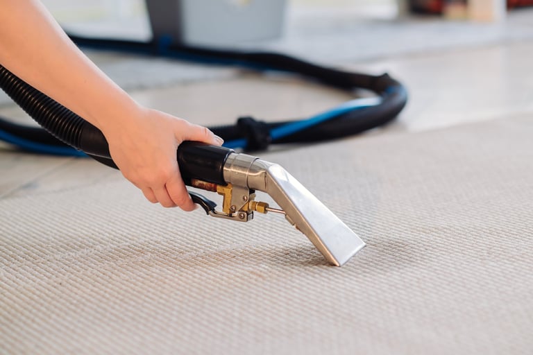 Professional carpet cleaning team