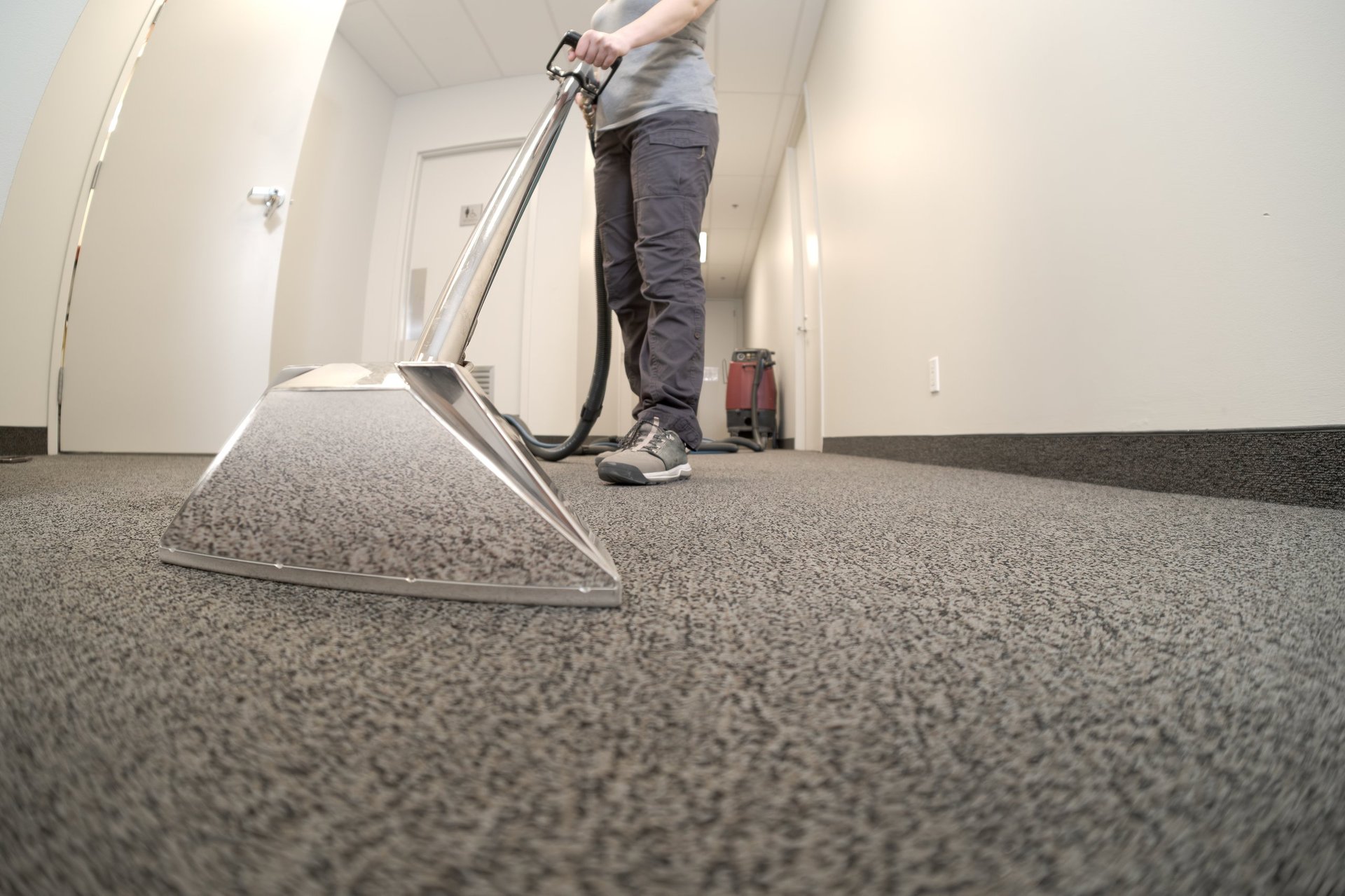 Professional carpet cleaning process