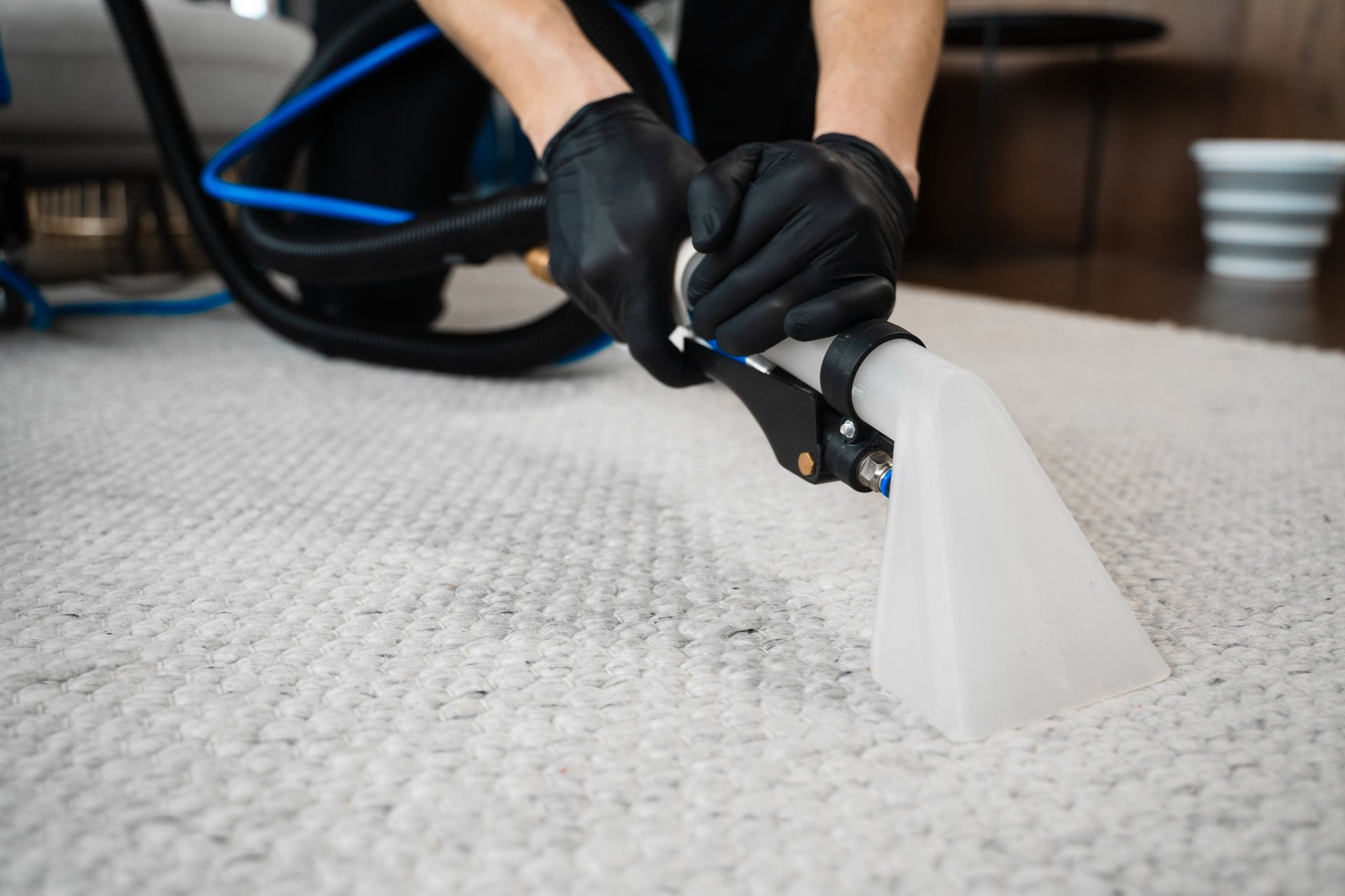 Professional carpet cleaning