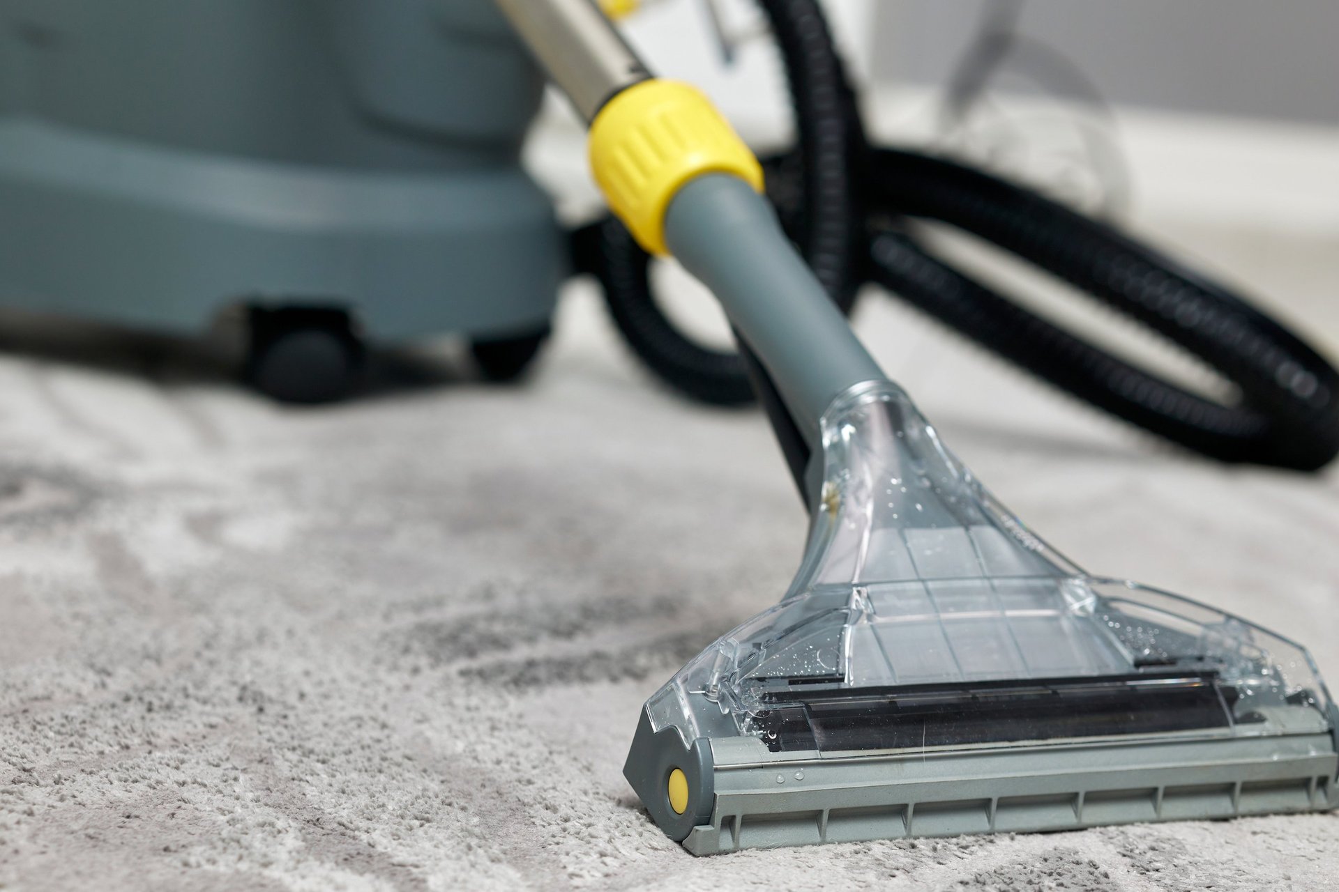 Professional carpet cleaning